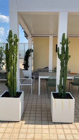 Terrazza panorama centro storico gallery image 4