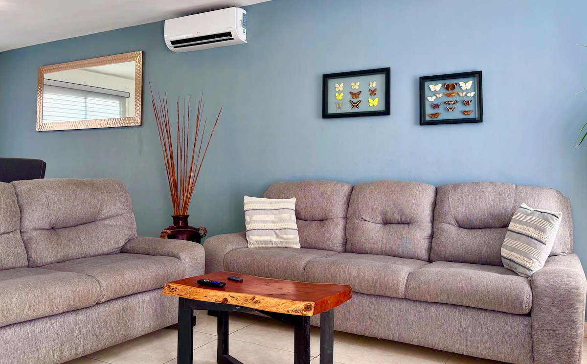 A living area features two plush gray sofas arranged around a wooden coffee table. Air conditioning is mounted on the wall above, while framed artwork depicting butterflies adorns the blue wall. A tall vase with decorative sticks adds a subtle touch of elegance.