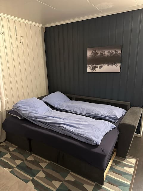 Popular Airbnb listing: Spacious apartment, 15 min walk to city center in Sommerlyst