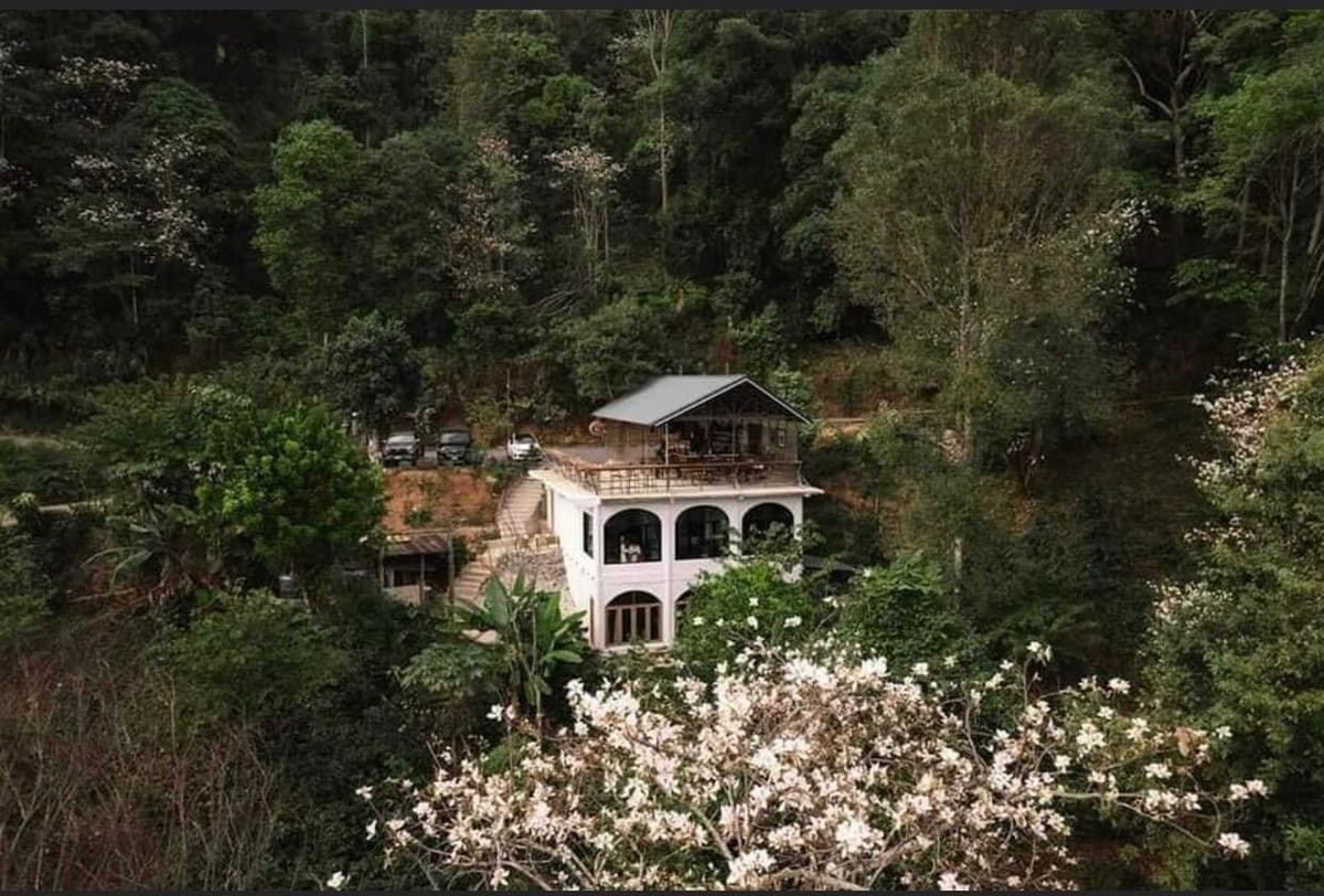 A serene retreat is nestled among lush greenery, featuring an elegantly designed structure with multiple arched balconies. Surrounding trees and flowering plants create a peaceful ambiance, while the natural landscape emphasizes the connection to nature.