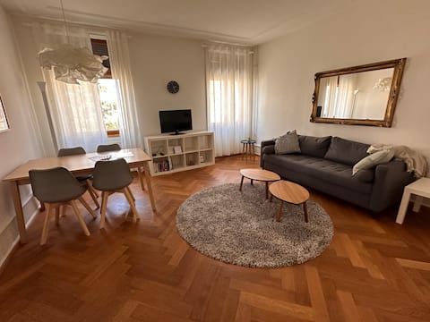 3.5 rooms flat in Basel center+Basel Card
