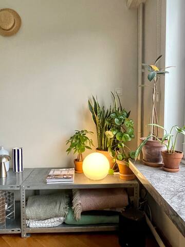 Large family house in Antwerp + garden & parking gallery image 5