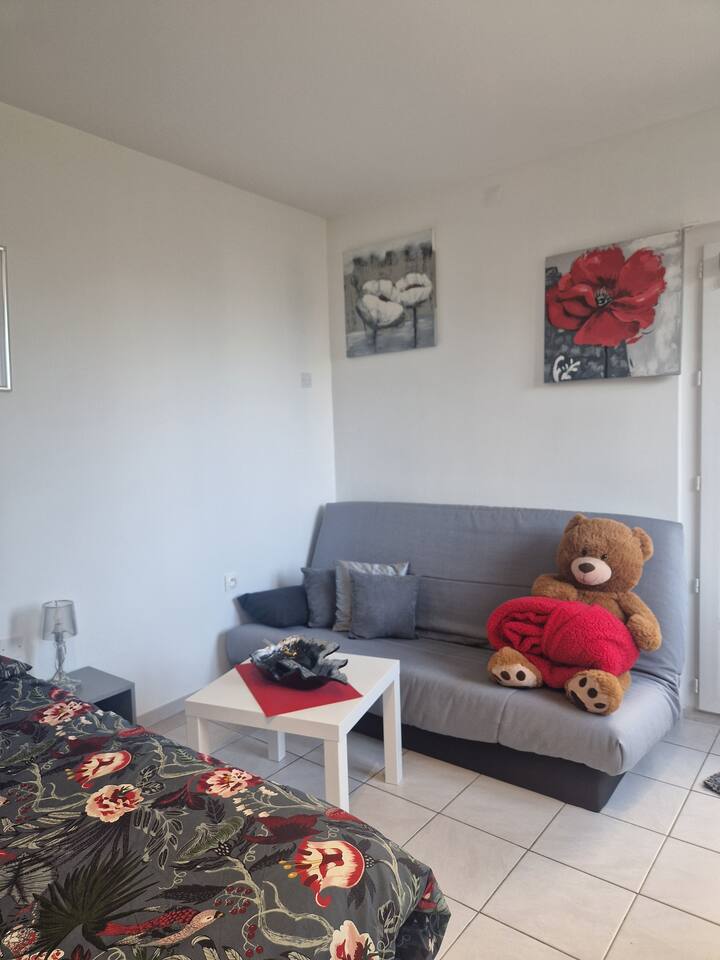 Studio Indépendant Avec Terrasse Privée - Aubagne