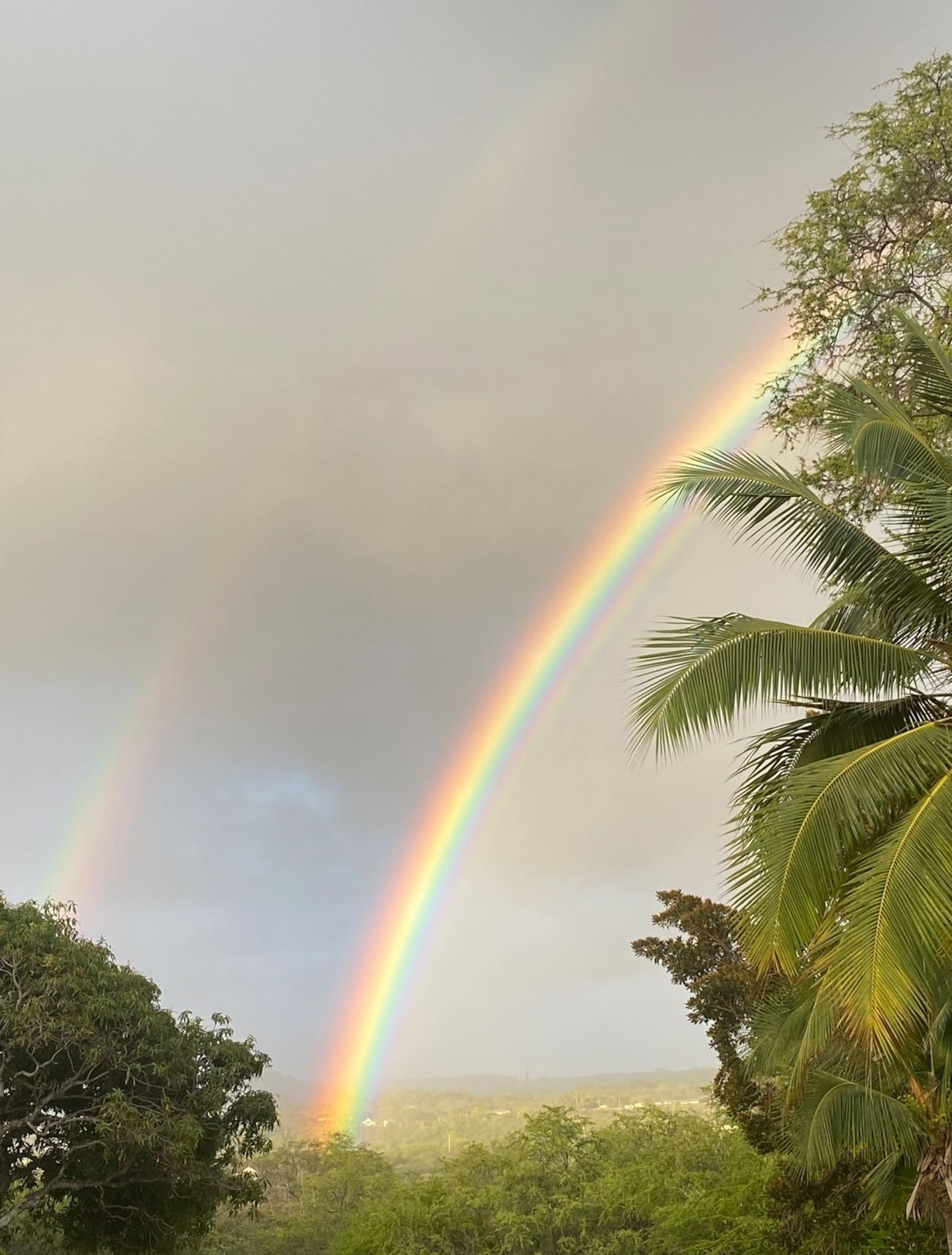 Condo in Kailua-Kona · ★4.81 · 1 bedroom · 1 bed · 1 bath - Image 23