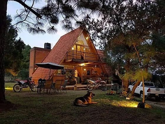 A charming cabin is situated amidst tall trees, featuring an A-frame design with a distinctive red roof. Outdoor seating is arranged under an umbrella, while motorcycles and a vehicle are parked nearby. Soft lighting highlights the welcoming entrance, with a dog resting peacefully in the foreground.