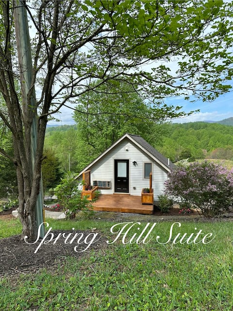 Suite at Spring Hill
