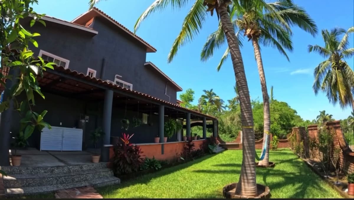 A tranquil outdoor space features a spacious patio with a walkway leading to a lush green lawn. Tall palm trees stand alongside, framing the view of a two-story house with a tiled roof. A hammock is visible, inviting relaxation in the garden.