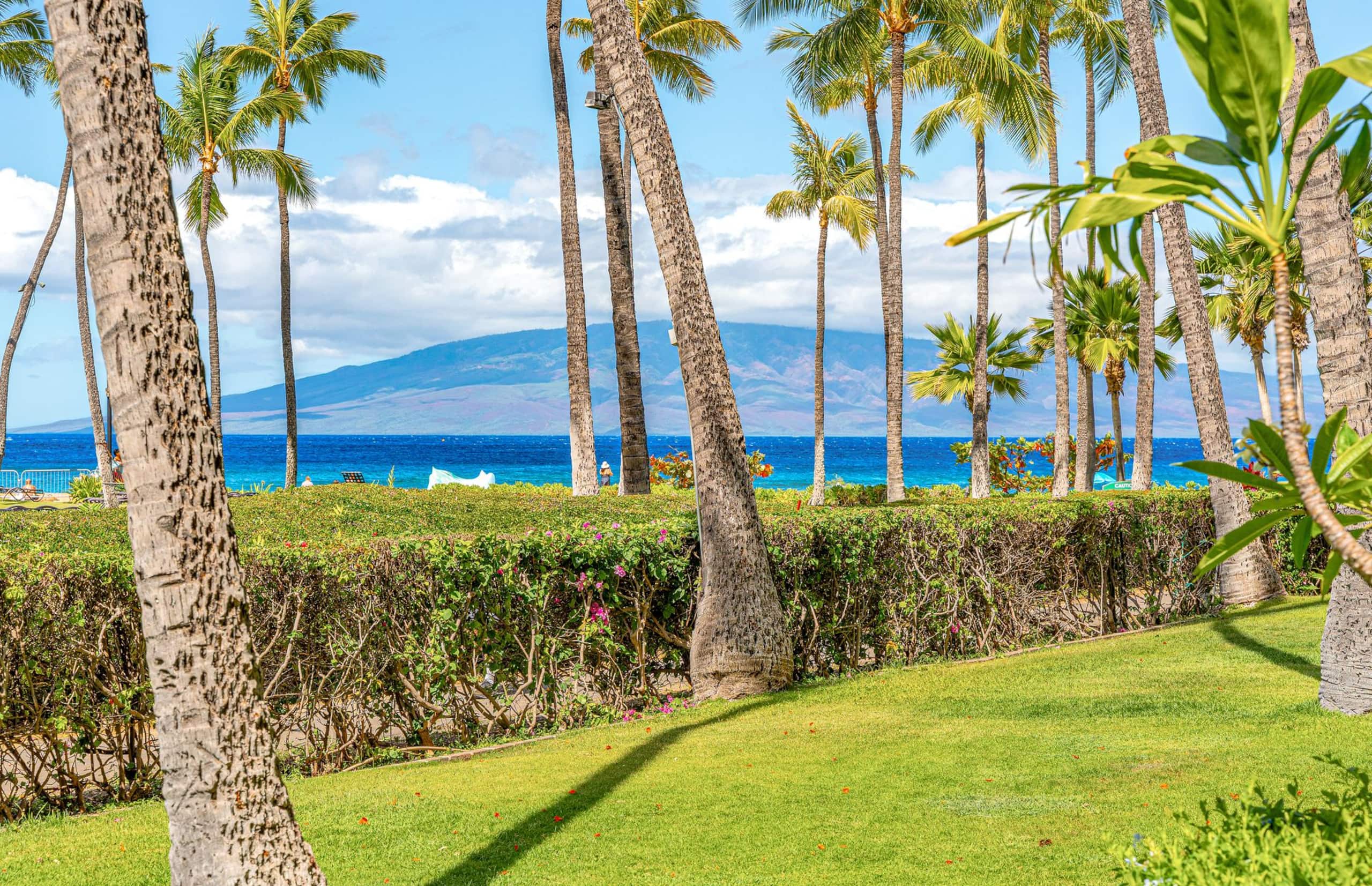 Condo in Lahaina · ★4.89 · 2 bedrooms · 3 beds · 2 baths - Image 17