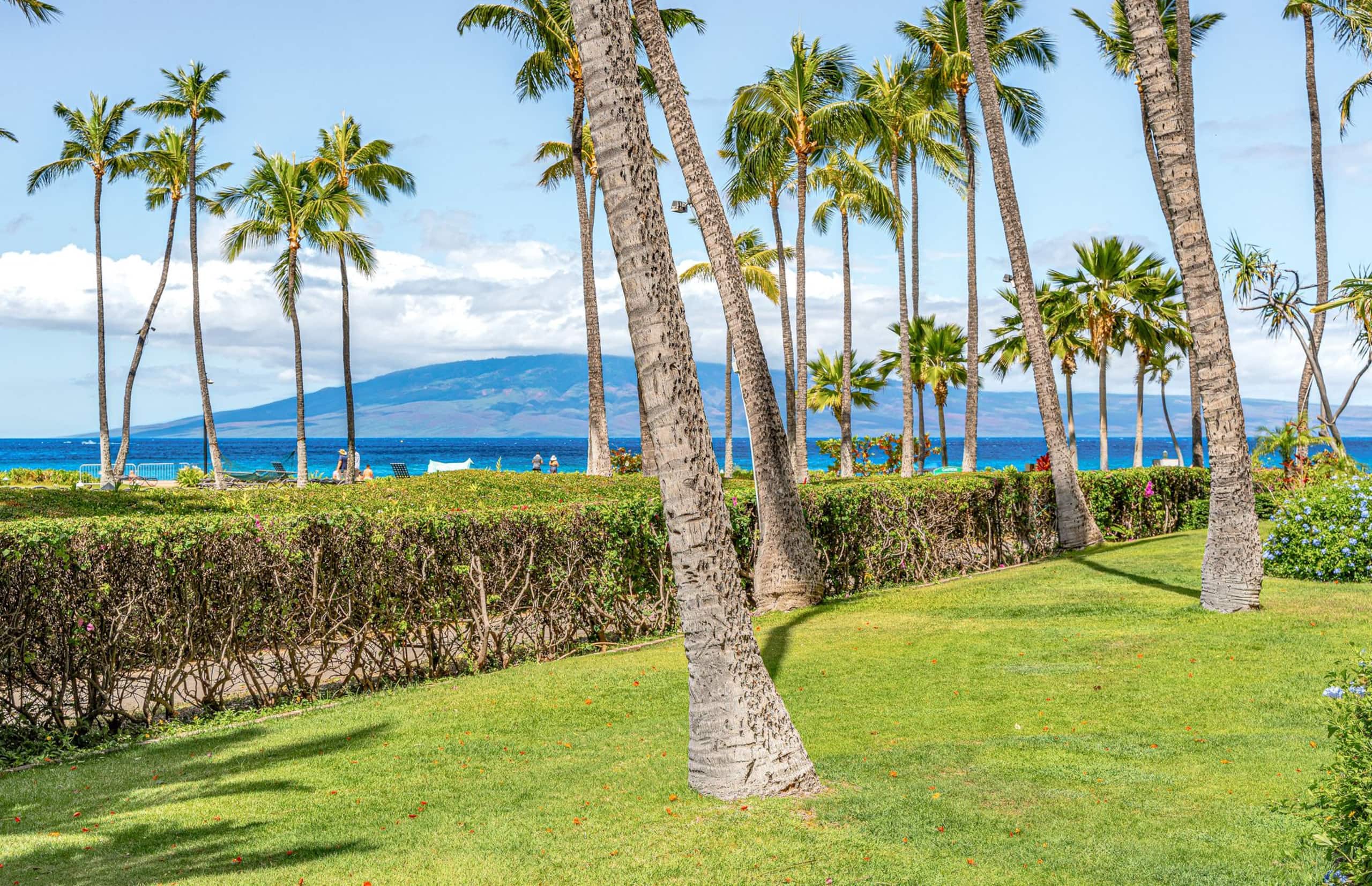 Condo in Lahaina · ★4.89 · 2 bedrooms · 3 beds · 2 baths - Image 1