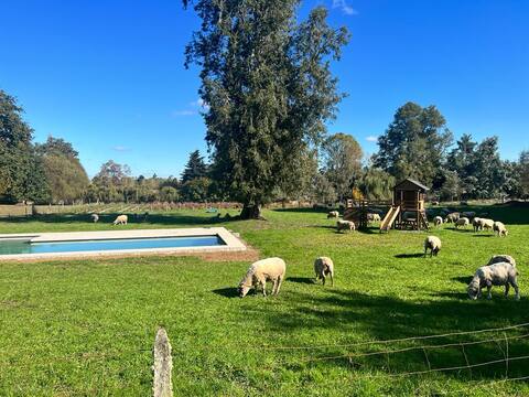 Casa en Campo Viejo Castaño