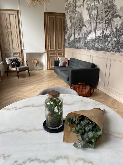 Character Apt 3 stops from the center of Lille
