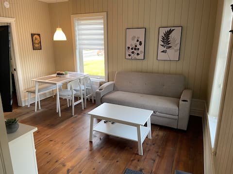 Successful Airbnb property: Beautiful little 2 1/2 apartment in La Haute Saint Charles