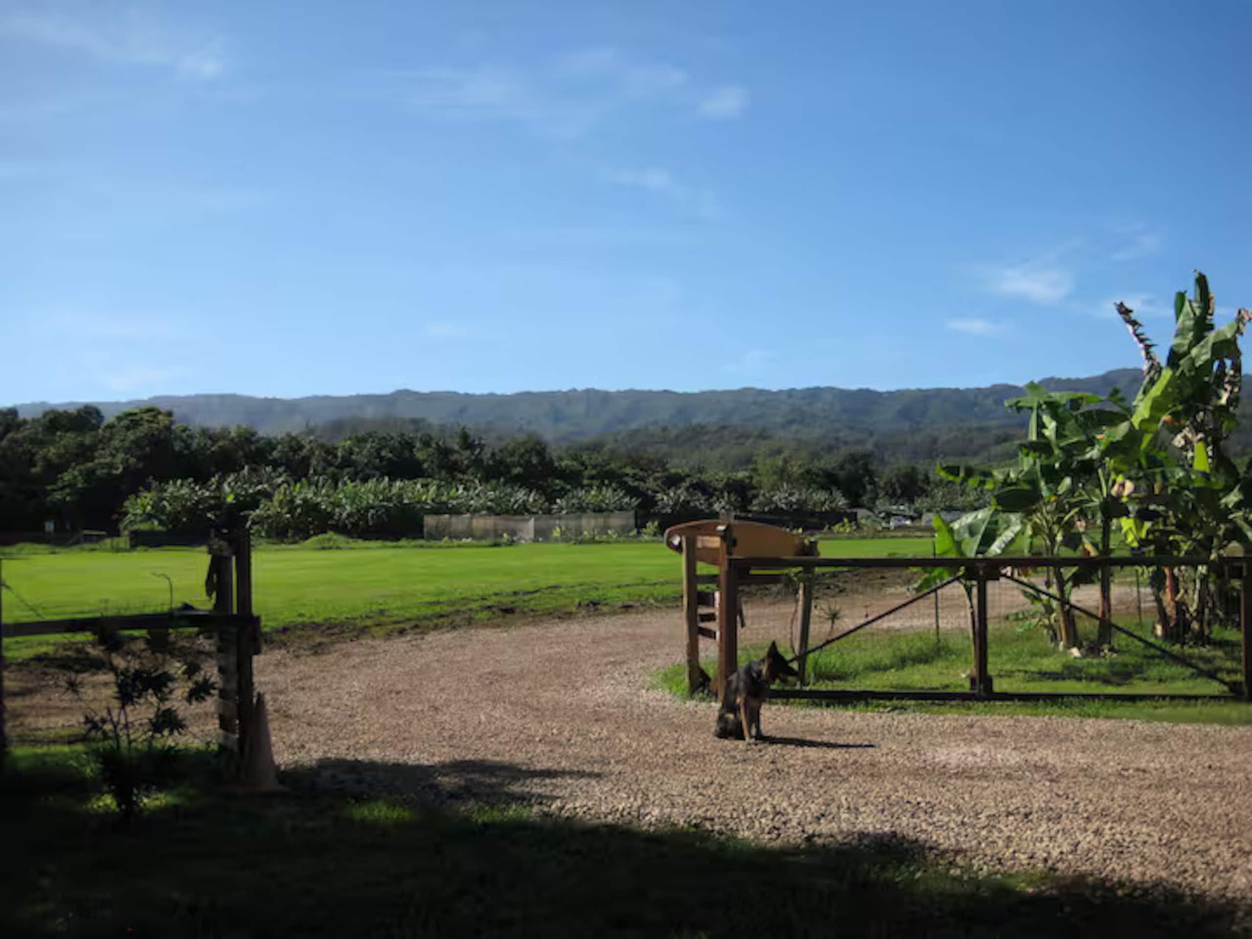 Hawaii Camping Close to Hukilau Beach, Laie #1 - Photo 16