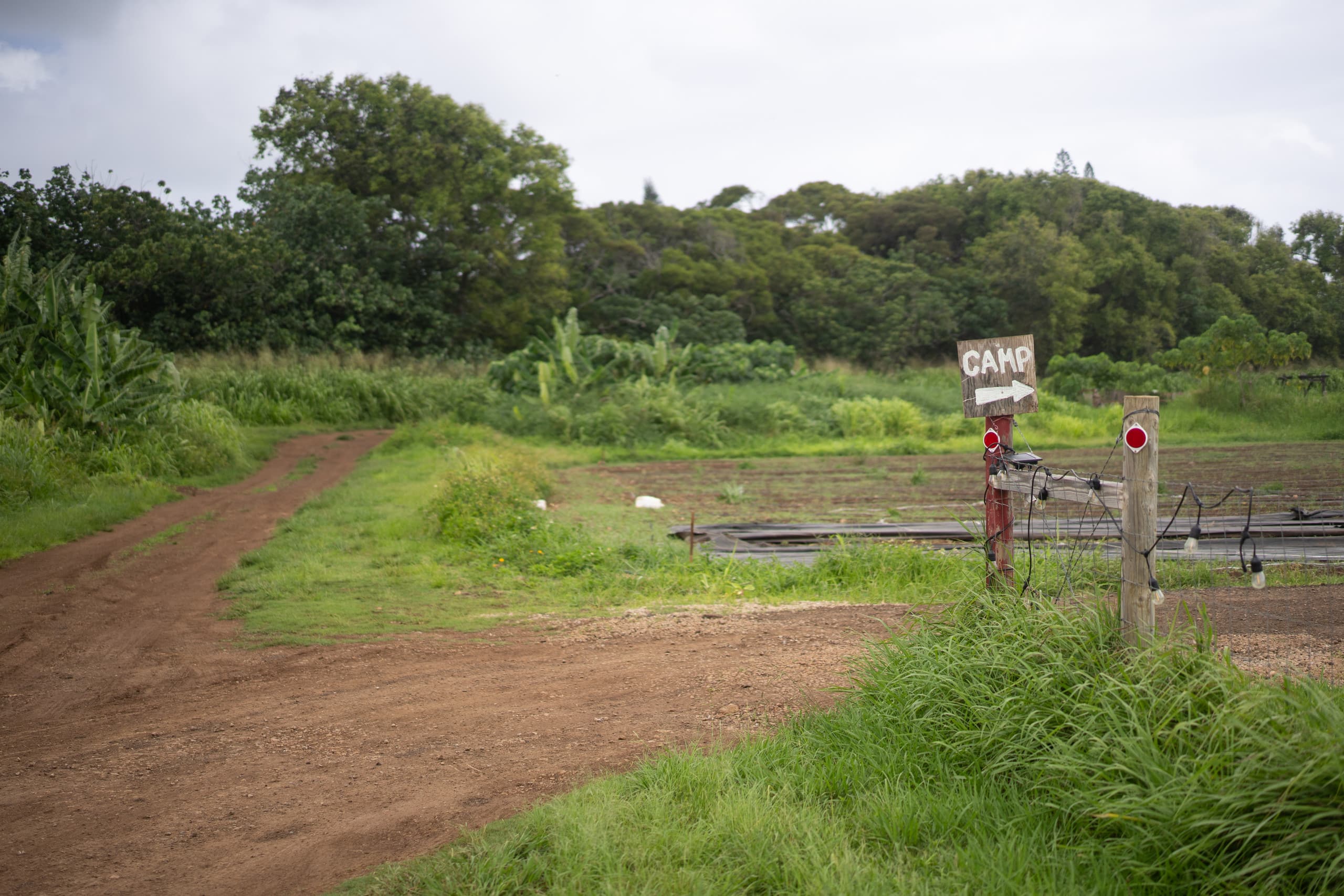 Hawaii Camping Close to Hukilau Beach, Laie #1 - Photo 10