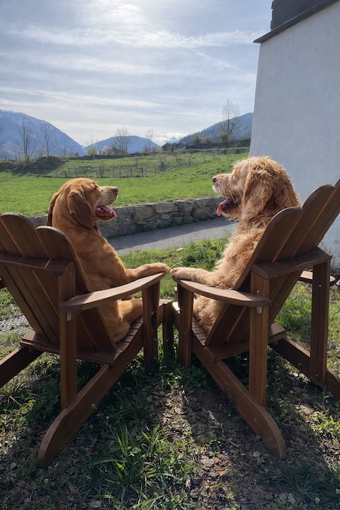 Dog-friendly mountain house with private garden
