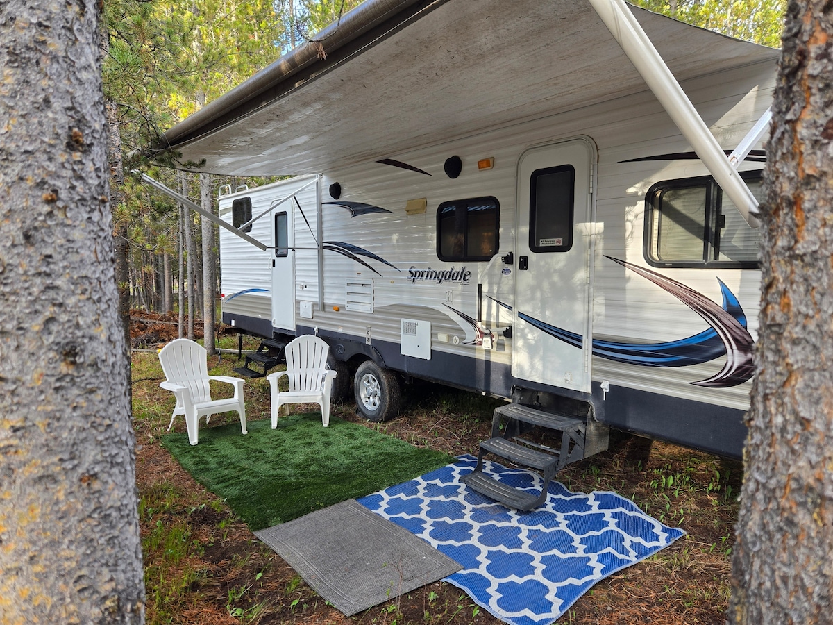 An inviting camper is positioned among trees, featuring a retractable awning. Two white chairs and a patterned rug create a cozy outdoor seating area on the grass. Steps lead to the entrance, enhancing accessibility to the spacious living area within.