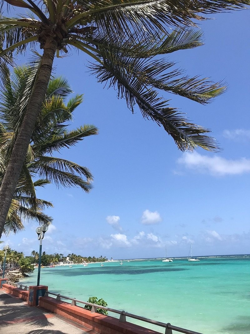 A scenic view of a coastal promenade is presented, featuring palm trees swaying gently in the breeze. The azure waters of the sea are visible, along with a clear blue sky. Sailboats can be seen in the distance, enhancing the tranquil coastal atmosphere.