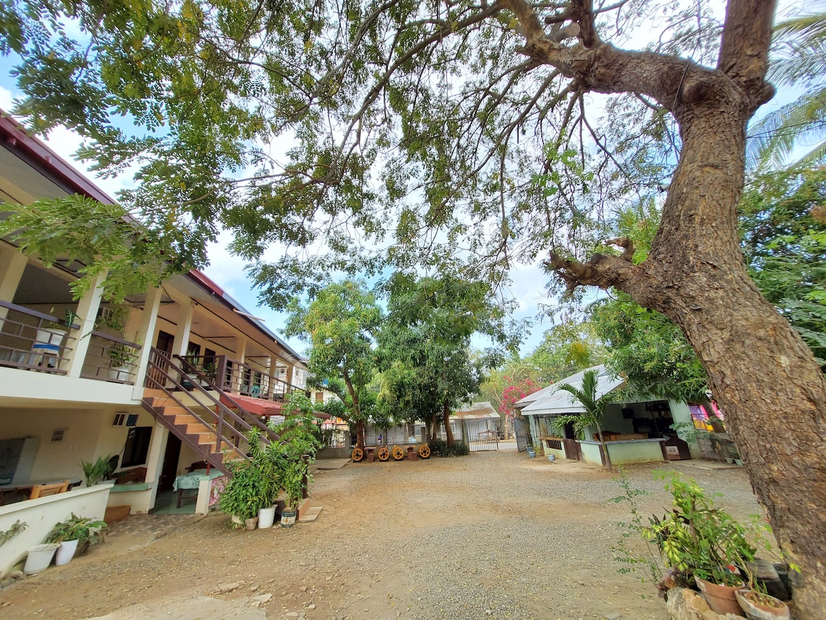 The outdoor area features a spacious gravel lot, surrounded by greenery and trees. Nearby structures include a two-story building and an open kitchen under a roof. Various potted plants add to the relaxed atmosphere, suitable for gathering or leisurely activities.