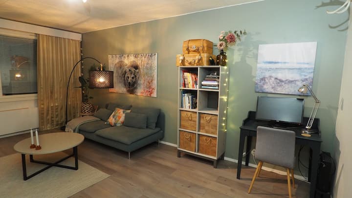 Bohemian North Apartment - Rovaniemi