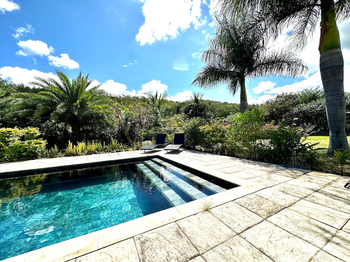 A serene swimming pool is situated within a lush tropical garden, surrounded by palm and leafy plants. Loungers are positioned nearby for relaxation. Bright blue skies punctuated by scattered clouds provide a tranquil backdrop, enhancing the peaceful atmosphere of the outdoor space.