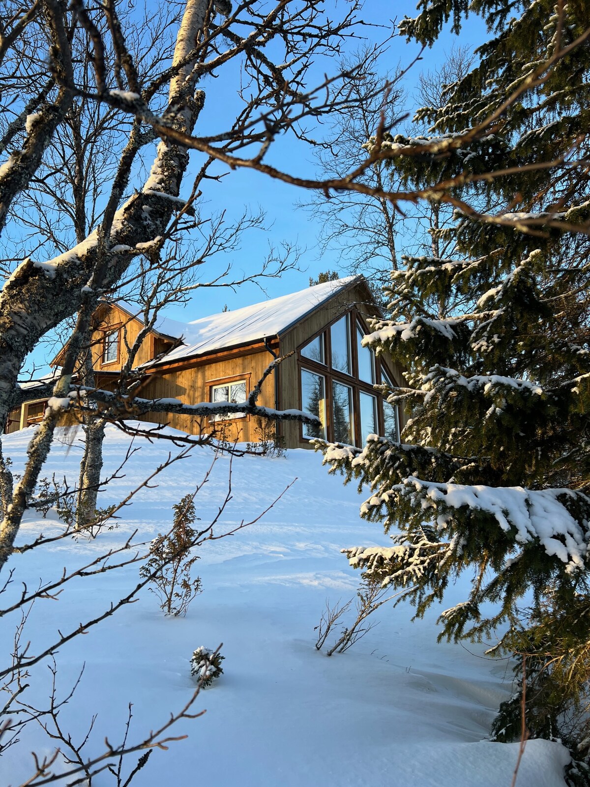A modern wooden house is situated on a snow-covered hillside, framed by trees with delicate frost. Large windows reflect the blue sky, while the structure shows a combination of warm wood tones and contemporary design.