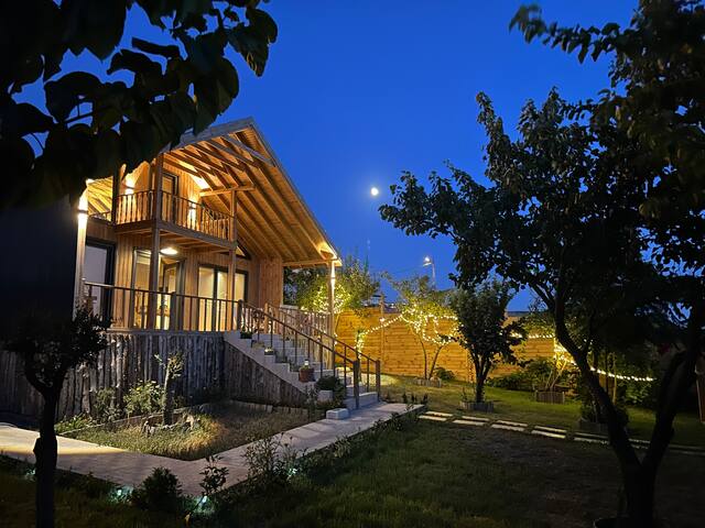 Stylish Bungalow Villa In City gallery image 2