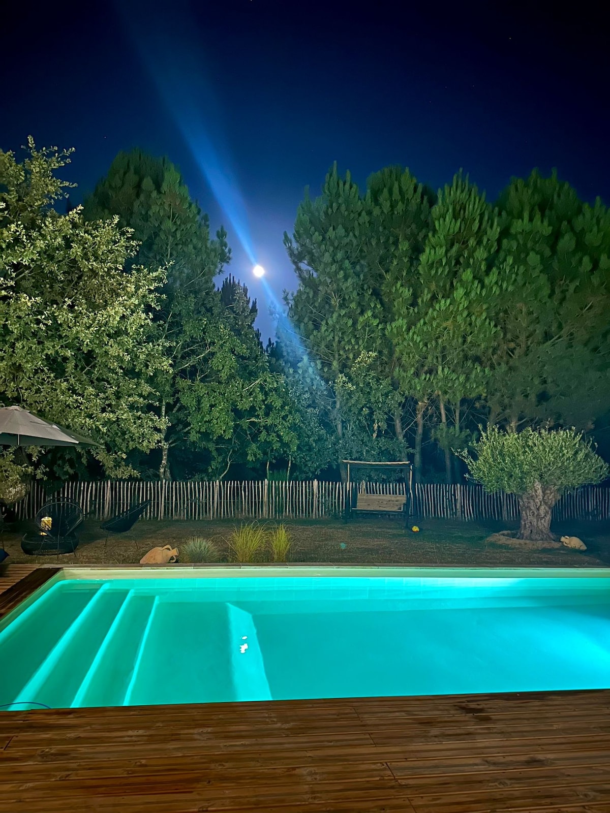 A serene night scene features a glowing pool with turquoise water, bordered by wooden decking. Tall trees stand elegantly in the background, illuminated by moonlight, creating a tranquil outdoor atmosphere. Soft lighting casts a gentle glow over the surrounding garden area.