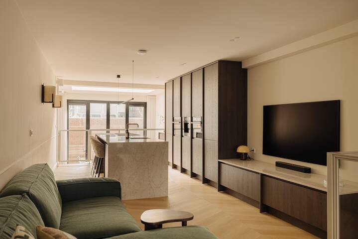 Brand new luxury apartment near Museum Square