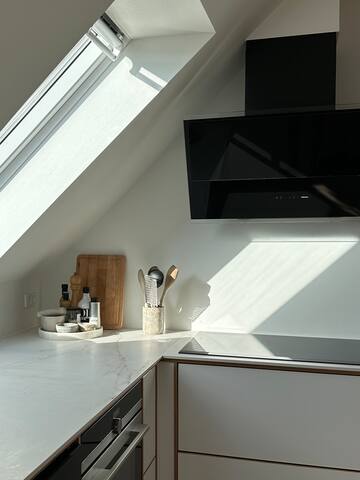 Central Frederiksberg Penthouse gallery image 2