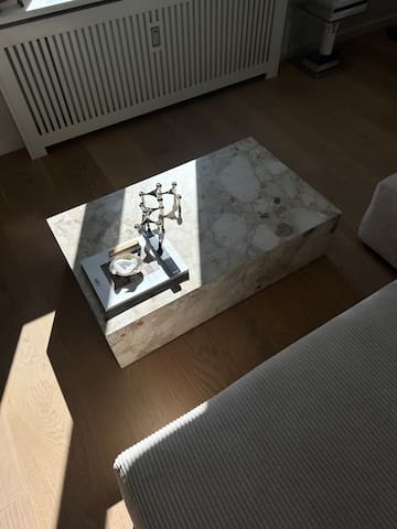 Central Frederiksberg Penthouse