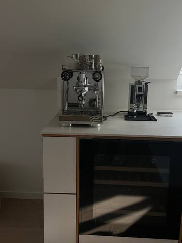 Central Frederiksberg Penthouse gallery image 3