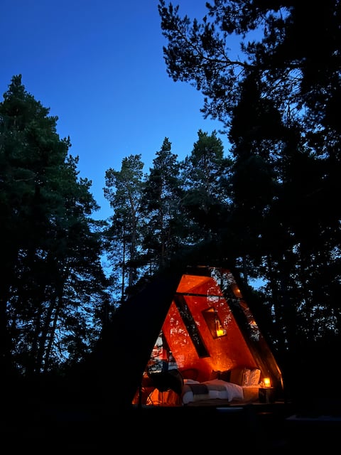 Unique A-frame among the treetops