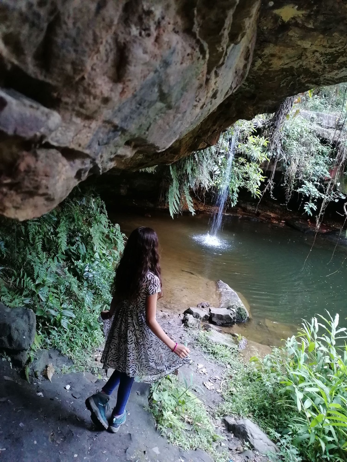 A serene scene captured at a secluded waterfall. Lush greenery surrounds a clear pool, with sunlight filtering through overhead foliage. A person stands at the edge, gazing thoughtfully towards the gentle cascade, enhancing the tranquil ambiance of the natural setting.