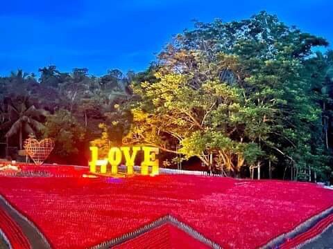 An expansive field is covered in vibrant red flowers, creating a striking contrast against the lush green trees in the background. A large illuminated sign displaying the word 'LOVE' stands prominently, surrounded by decorative heart shapes, enhancing the scenic landscape.
