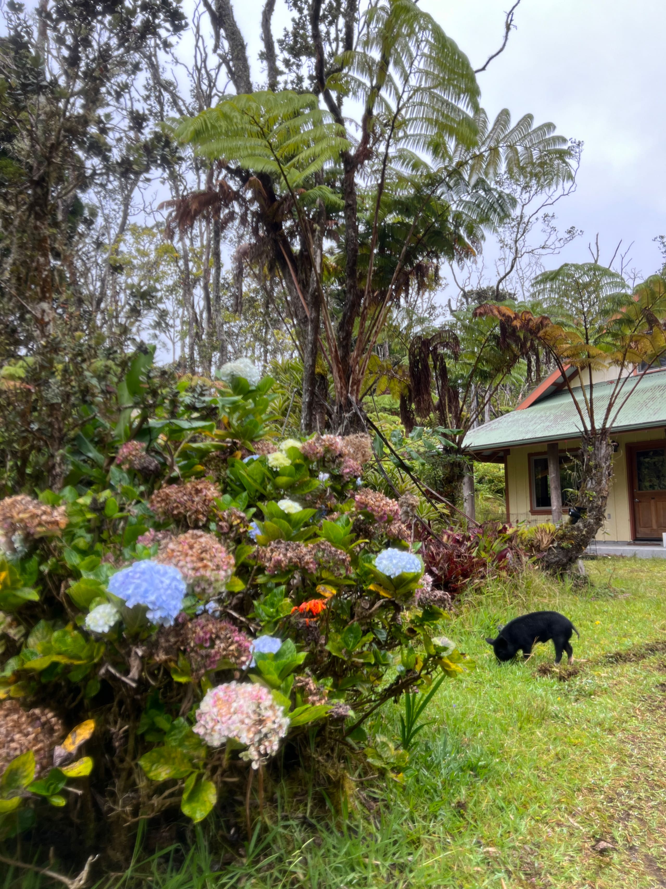Private Home Near VNP - Nature Views & Tranquility - Photo 16