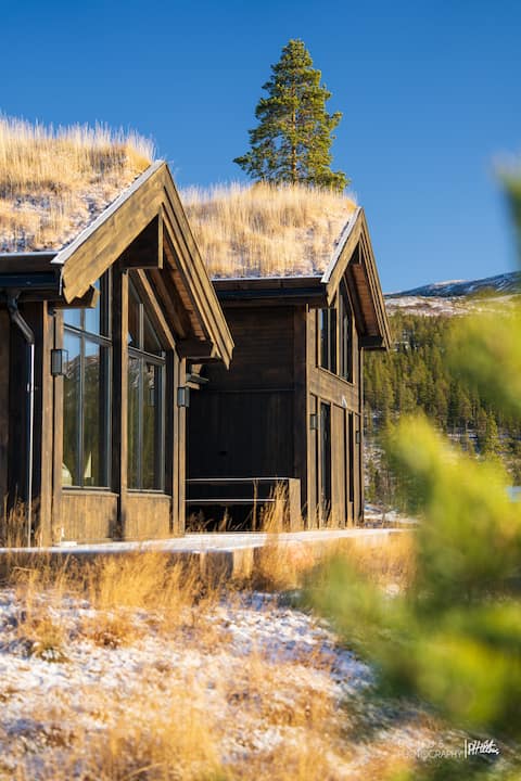 New cottage with jacuzzi, sauna, billiards and car charger