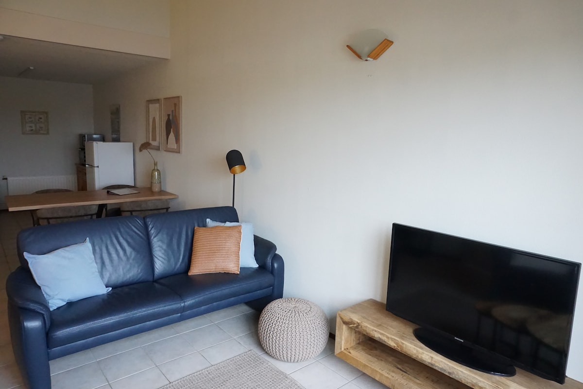 Top performing Airbnb: Coastal rental, Old riding school, Nieuwvliet 11 in Wijk 08 Nieuwvliet