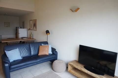 Top performing Airbnb: Coastal rental, Old riding school, Nieuwvliet 11 in Wijk 08 Nieuwvliet