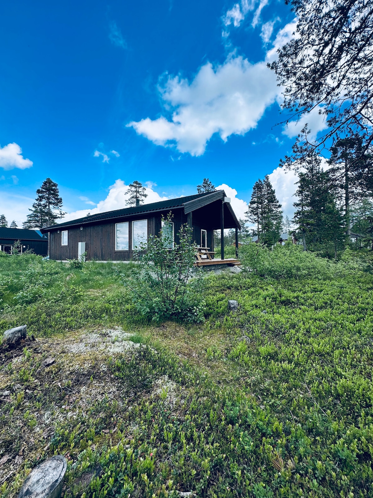 A modern cabin is set amidst lush greenery and shrubs, with a sloped roof and expansive windows. The structure is surrounded by trees, creating a natural ambiance. A wooden deck is visible at the entrance, inviting guests to enjoy the serene outdoor environment.