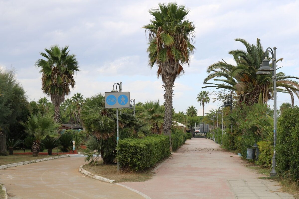 A tree-lined pathway is flanked by lush greenery and palms. A sign indicating bike and pedestrian paths is visible. The paths meander alongside dense shrubs and palm trees, creating a peaceful atmosphere suitable for leisurely walks or cycling.