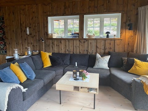 Top Airbnb: Turtagrø 3 bedrooms + loft in Luster