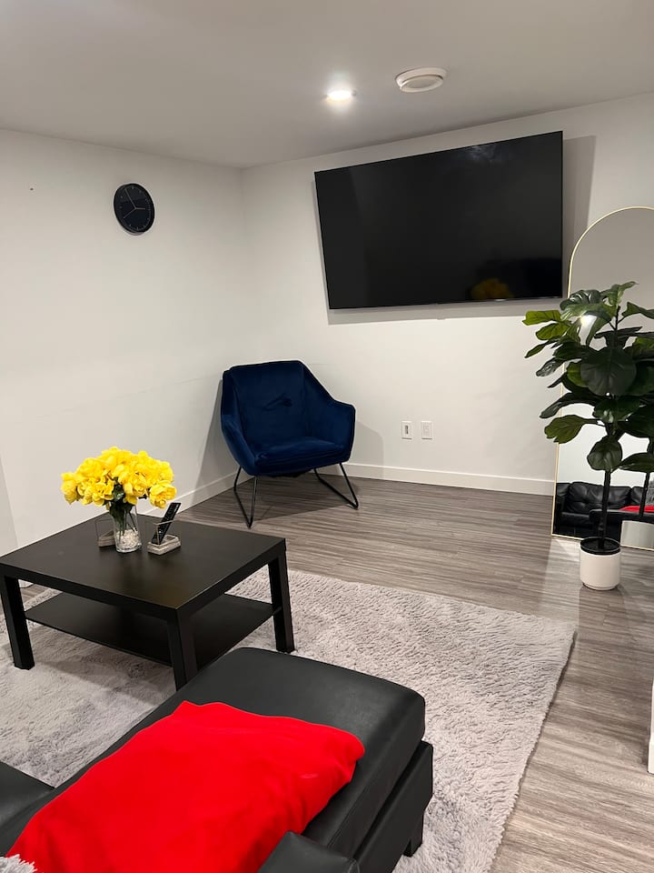 Modern Bright & Beautiful 2 Bedroom Basement Suite - Edmonton