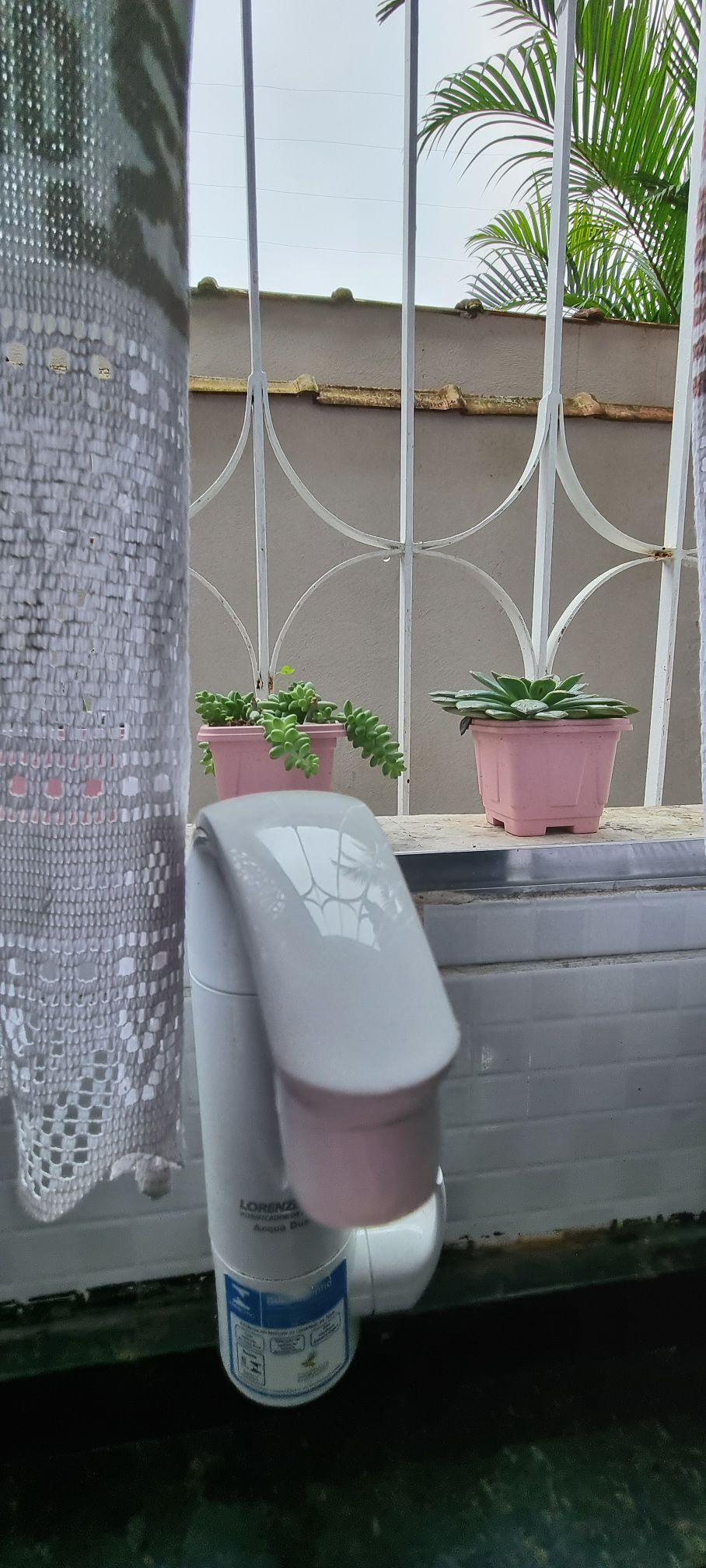 A faucet is positioned next to a window, with a sheer curtain partially drawn, allowing soft light to filter through. Small potted plants are visible on the window ledge, adding a touch of greenery to the space, framed by the decorative iron grill outside.