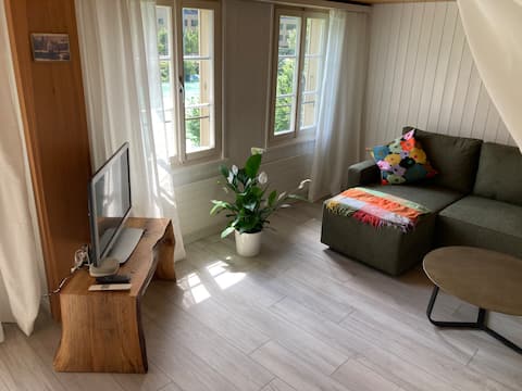 Top Airbnb: Belle Rive apartment with Aare view, centrally located in Interlaken