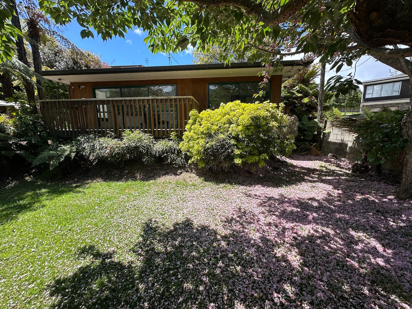 Tsf Lodge: Your Secluded Sanctuary Of Tranquility 4