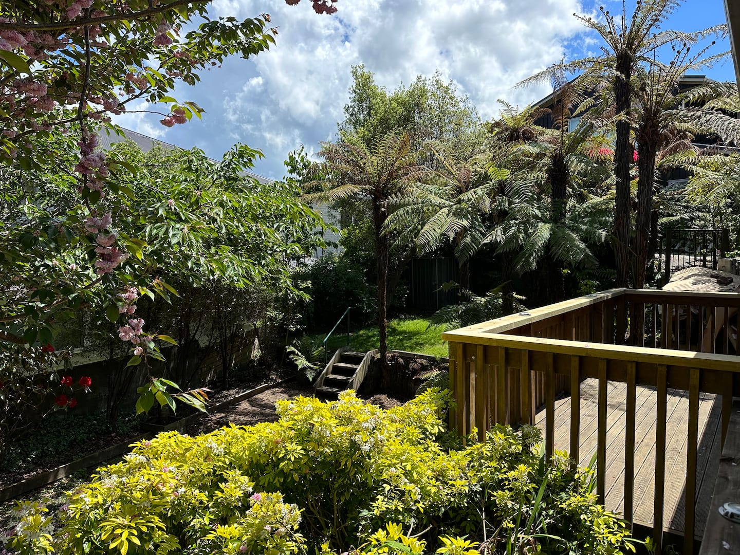 Tsf Lodge: Your Secluded Sanctuary Of Tranquility 2