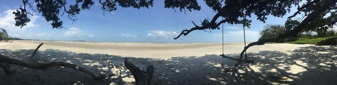 A panoramic view of a quiet beach is framed by overhanging branches, providing shade on the soft sand. The gentle waves meet the shore in the distance, while a swing hangs from a nearby tree, inviting relaxation in the serene surroundings.