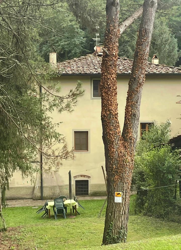 Gioconda Casa Vacanze - Montevarchi