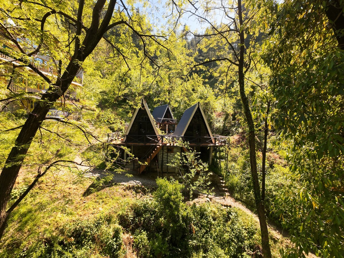 An A-shaped cabin is surrounded by lush green trees, blending harmoniously with the natural landscape. The structure features a balcony with wooden railings, providing a view of the forest. Sunlight filters through the leaves, creating dappled shadows on the ground.