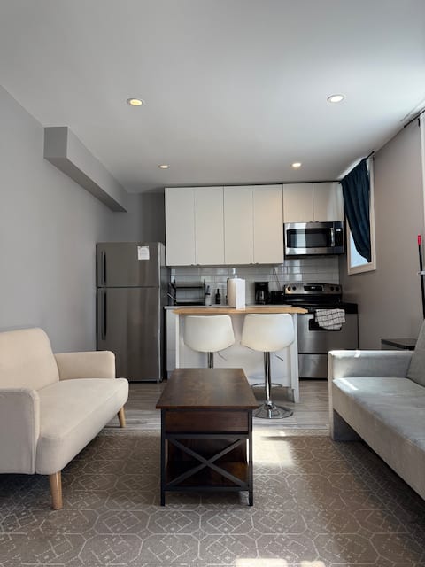 Successful Airbnb property: Affordable Urban Bachelor in River West